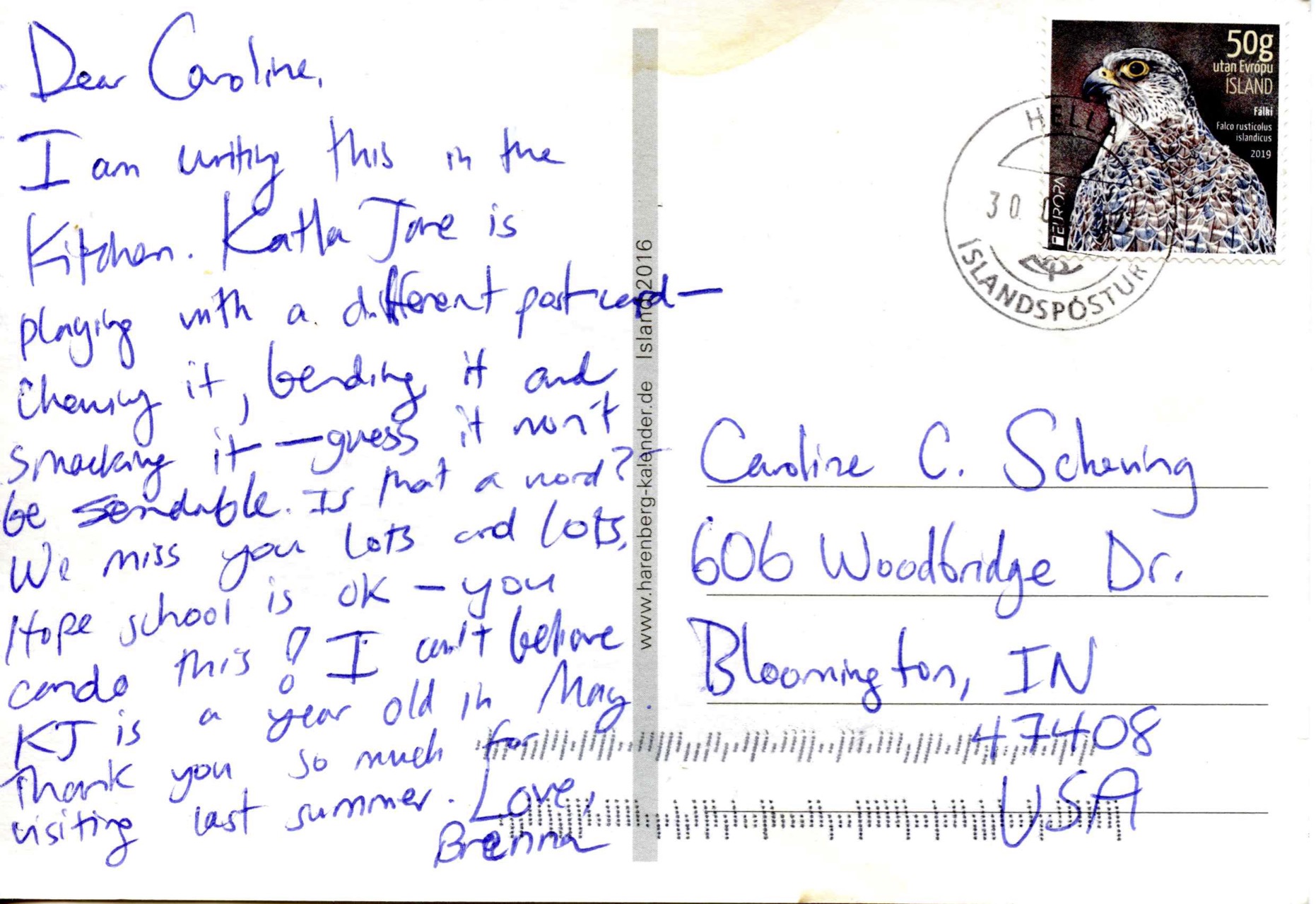 Papageientaucher auf dem Vogelfelsenöfði