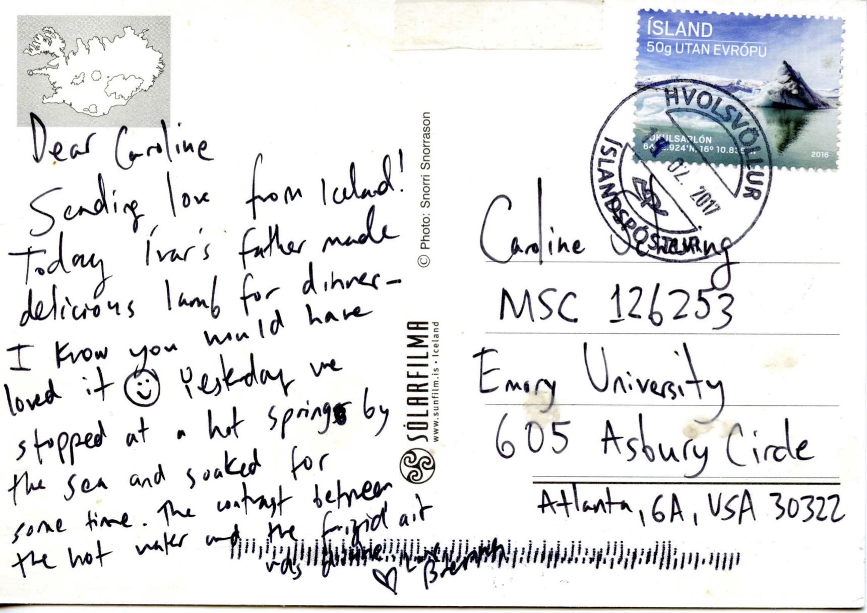 Two Icelandic Horses