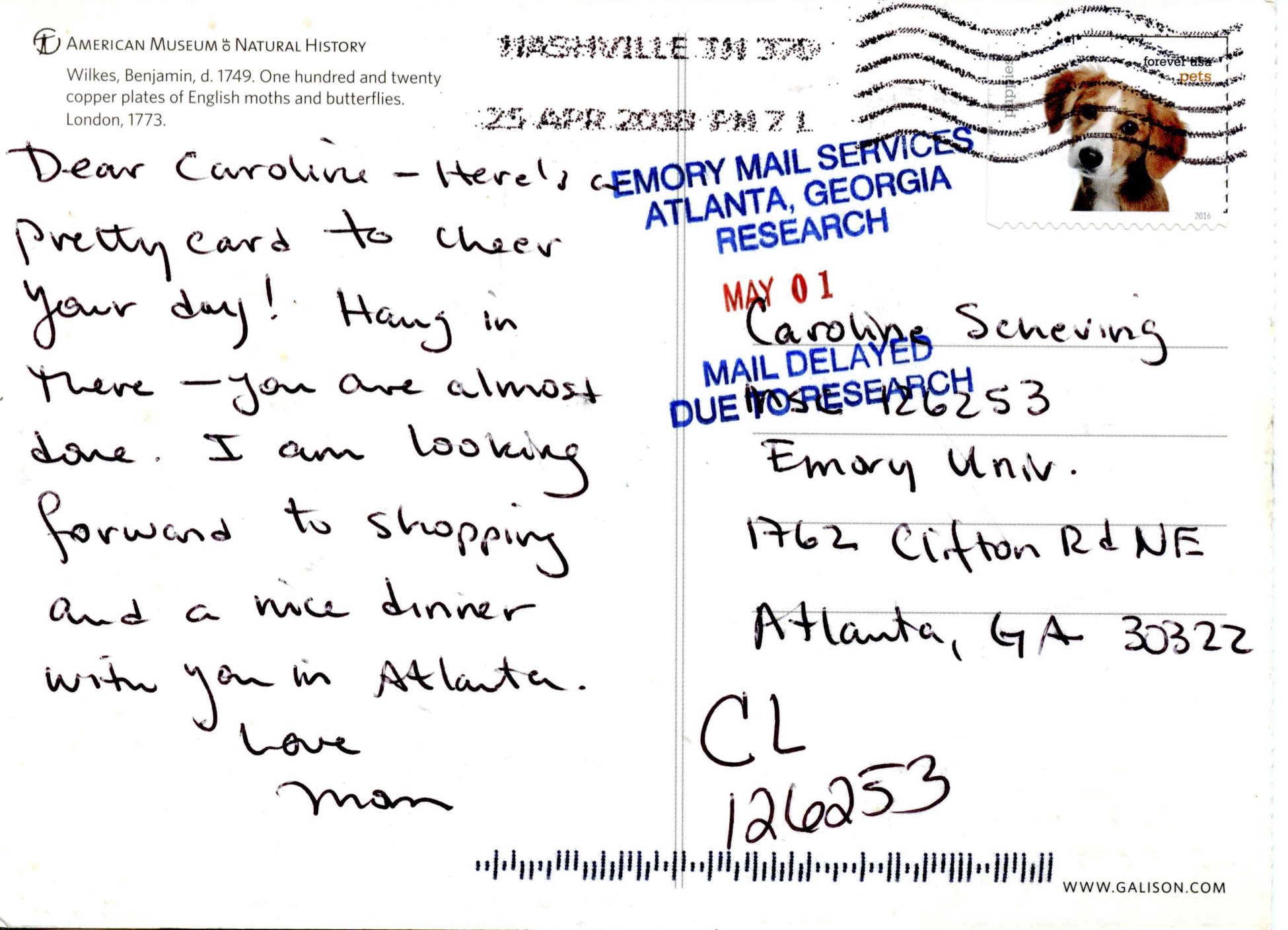 One Hundred and Twenty Copper Plates of English Moths and Butterflies